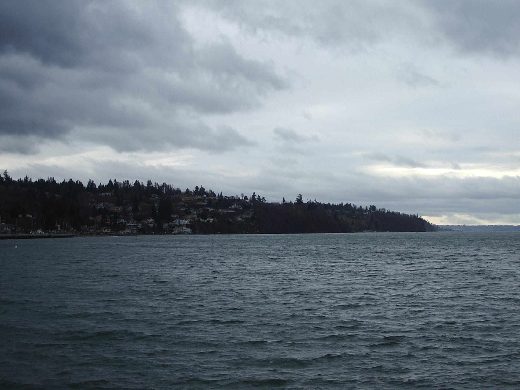 Overcast view of Federal Way's Puget Sound shoreline, with tree-lined bluff and homes above the water.