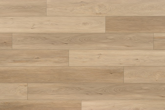 Astoria - Rigid Core / Evoke.