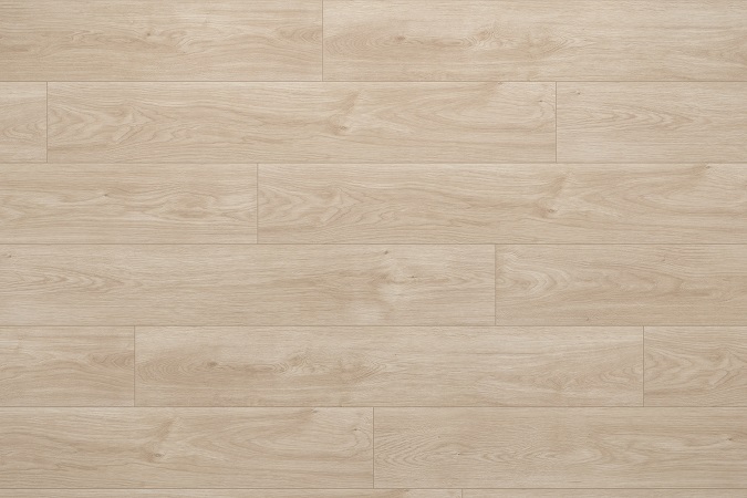 Montane Trail - Laminate / Evoke.