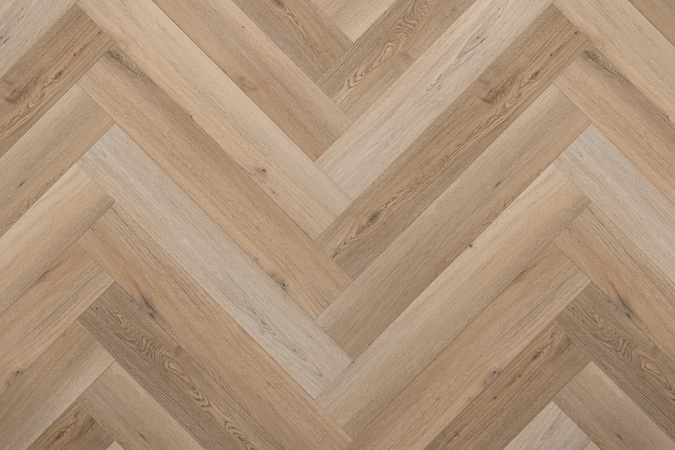 Vivid - Rigid Core / Evoke.